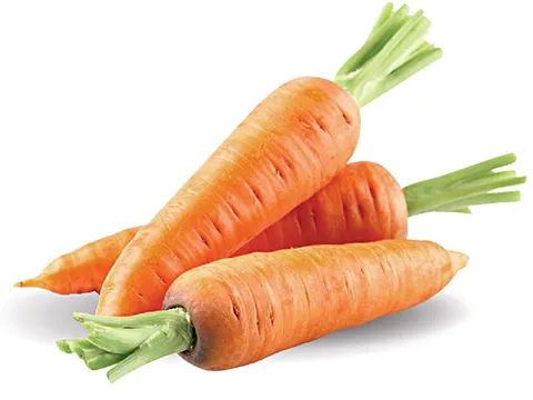 Cà rốt - vị thuốc chữa tiêu chảy ở trẻ em