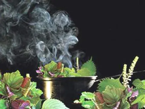 Những phương thức hiệu quả của xông lá trị cảm cúm