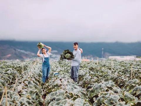 Ông trùm show chụp ảnh ngoại cảnh Đà Lạt và những thành quả sau khi sáng lập Rong Chơi Đà Lạt Group