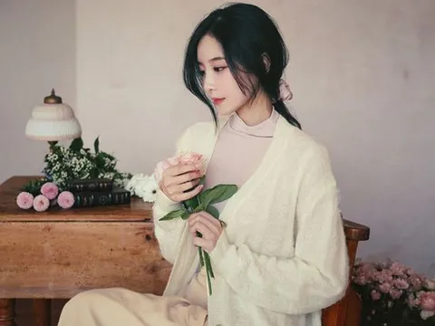 Đầm cổ điển mùa thu cho nàng công sở