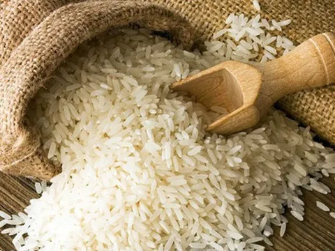 Giá lúa gạo hôm nay ngày 16/11: Đầu tuần giao dịch chậm