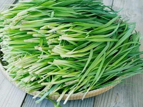 Ích Tiểu Vương – Giải pháp an toàn, hiệu quả cho người mắc chứng đái dầm