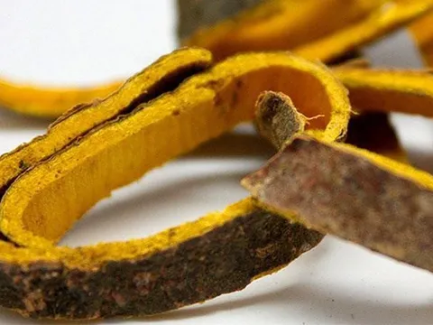 Bộ đôi “trong uống – ngoài bôi” thực phẩm bảo vệ sức khỏe Kim Miễn Khang và Eczestop hỗ trợ giúp ngăn ngừa viêm da dị ứng hiệu quả