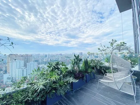 Những thiết kế sân vườn mang đầy tính nghệ thuật từ Homegarden