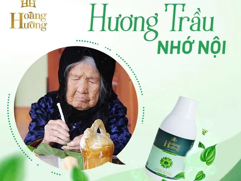 Lợi ích bất ngờ của lá trầu không đến sức khoẻ răng miệng