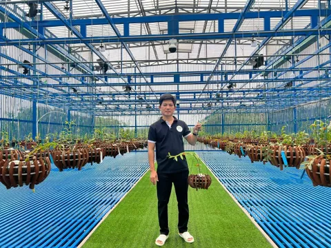 Gặp gỡ ông chủ vườn lan Nguyễn Thành Nhơn - Từ “ngờ vực” đến đam mê bất tận