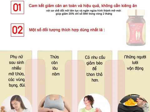 Viên uống hỗ trợ tăng cường chuyển hóa, giảm béo, đốt mỡ tăng cơ, đốt mỡ nội tạng Biken Slim NX 