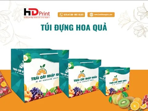 In túi đựng hoa quả - Nâng tầm nông sản Việt Nam