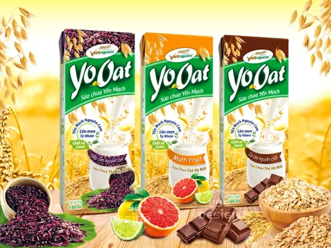 Khám phá tầm quan trọng của thiết kế bao bì cùng Haness Design