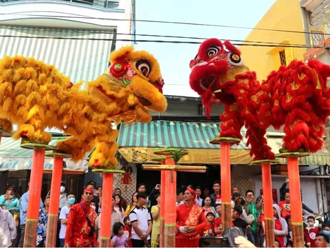 Bảng giá dịch vụ múa lân khai trương Tết 2025: Mừng xuân Ất Tỵ