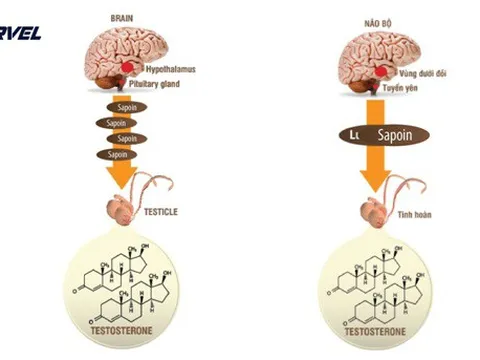 Tự chữa yếu sinh lý - hiểm họa khôn lường