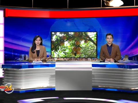 Cam sành Hàm Yên được cấp chứng nhận chỉ dẫn địa lý