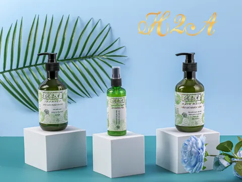 Combo dầu gội thảo dược H2A: trợ thủ đắc lực cho mái tóc hoàn hảo