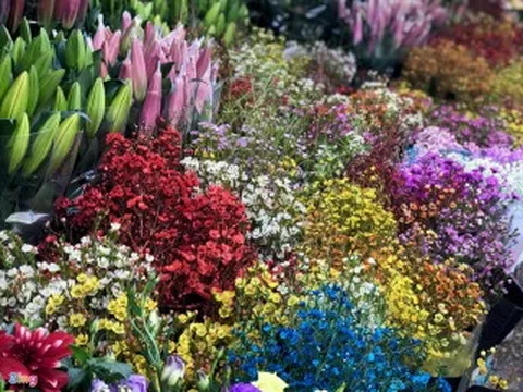 HOA TƯƠI TRUNG QUỐC LẤN ÁT HOA VIỆT DỊP CẬN TẾT