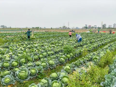 Ấm áp tình người trong tâm dịch COVID-19