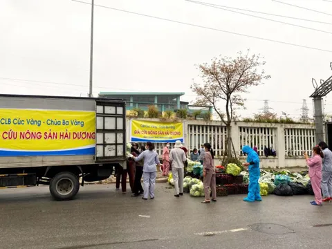 Hải Dương đã được các Phật tử chùa Ba Vàng “giải cứu” hơn 80 tấn nông sản của bà con
