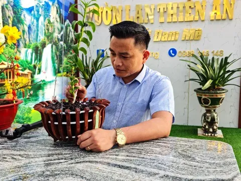 Chàng công chức trẻ Lê Văn Thường và niềm đam mê lan đột biến