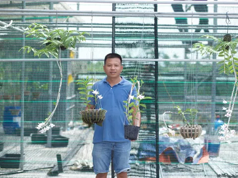 Đỗ Đức Nghĩa với niềm đam mê hoa lan đột biến VAR