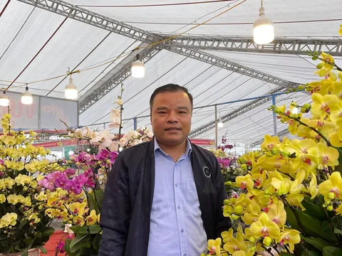 Cao Đức Vịnh chia sẻ về hoa lan cây cảnh ảo diệu khôn lường