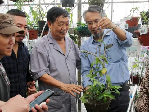Thăm vườn Lan Đột Biến của GS.TSKH Trần Duy Quý