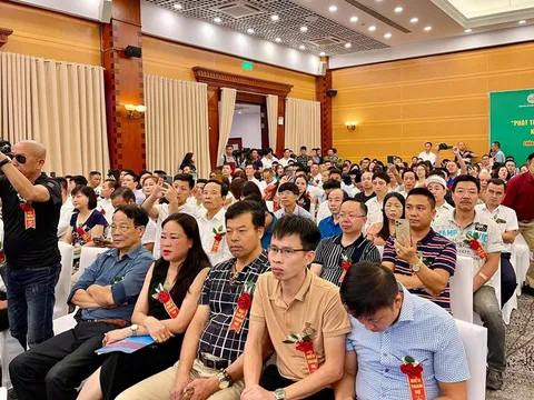 Phát triển Hoa cây cảnh - ngành kinh tế sinh thái trong xây dựng Nông thôn mới và Đô thị văn minh