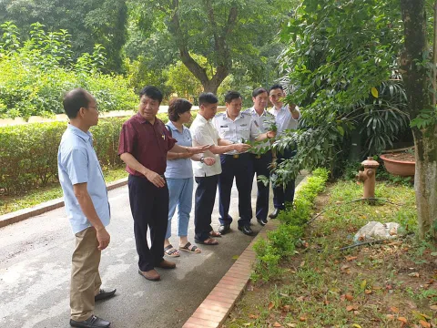 Phát triển cây Xanh Bốn Mùa thành cây xanh đô thị theo ý nguyện của Bác Hồ