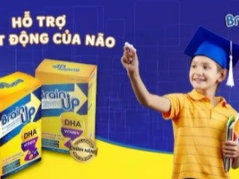 Brain Up DHA là gì? Có tốt không? Thành phần, công dụng?